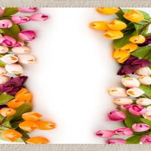Meg Cloud Dijital Baskı Yıkanabilir Halı Lale Çiçek Desenli Beyaz MEG389