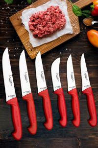 Lazbisa Çelik Silver Profosyonel 10 Parça Mutfak Bıçak Seti Et Ekmek Sebze Meyve Soğan Börek Şef Bıçağı