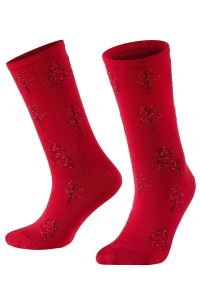 Aytuğ Kadın Pamuklu Yılbaşı Soket Çorap 12 Çift - 49001