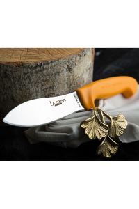 Lazbisa Çelik Gold Serisi Mutfak Bıçak Seti Et Ekmek Meyve Sebze Bıçağı 6 lı Set