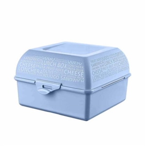 Meticulous Takeaway Nutrition Container AP-9081