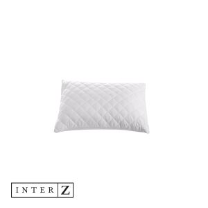 INTER Z 10